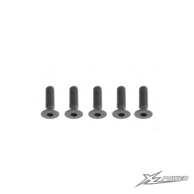 XL55A01 - Flat head Screw M2*8